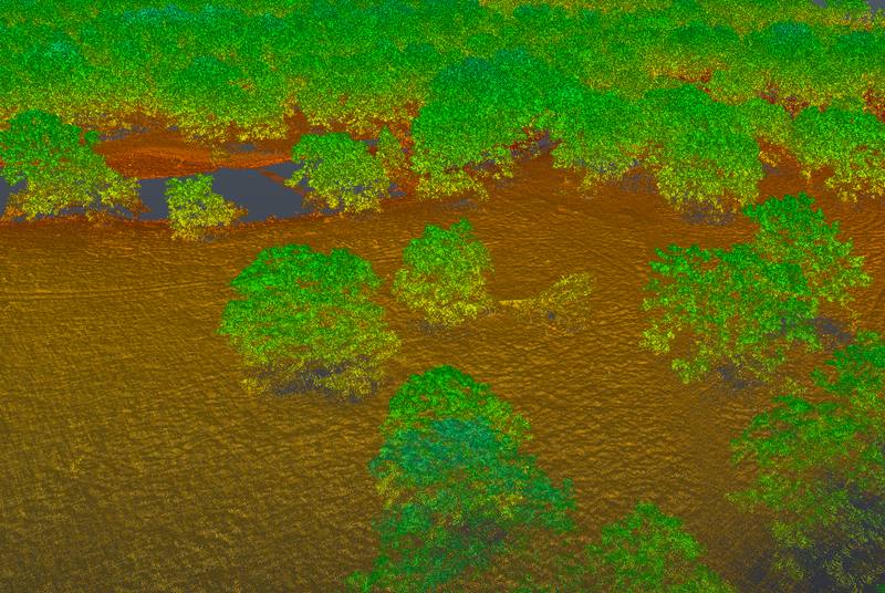 Bare earth surface recovered under heavy tree canopy with ground and vegetation classified